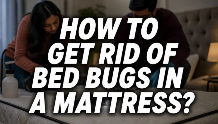 how to get rid of bed bugs in a mattress feature image with a couple cleaning mattress in bedroom