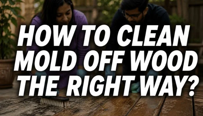 how to clean mold off wood the right way feature image with couple scrubbing wooden surface outdoors