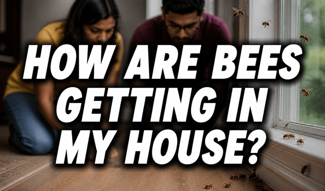 how are bees getting in my house feature image with a couple noticing bees near the window and the floor